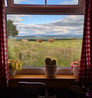 23cbaf9d-30f1-4616-a123-38939093d631