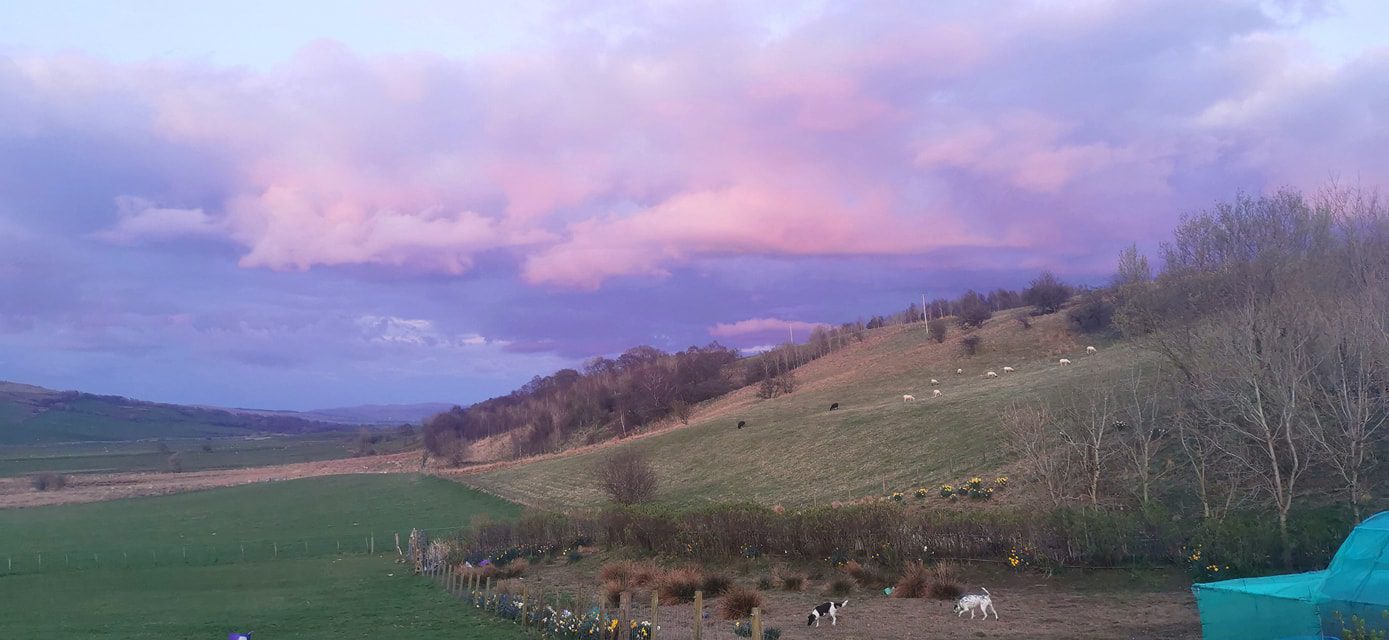 278577547_10158893644121104_2631637980752158408_n