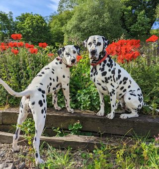 289364270_10159002352006104_7976742366593271120_n