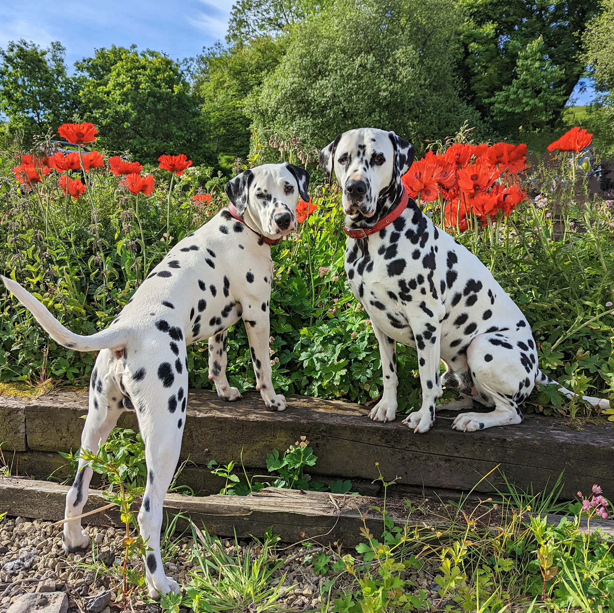 289364270_10159002352006104_7976742366593271120_n