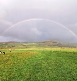 312659695_10159269694051104_8078596864019281730_n