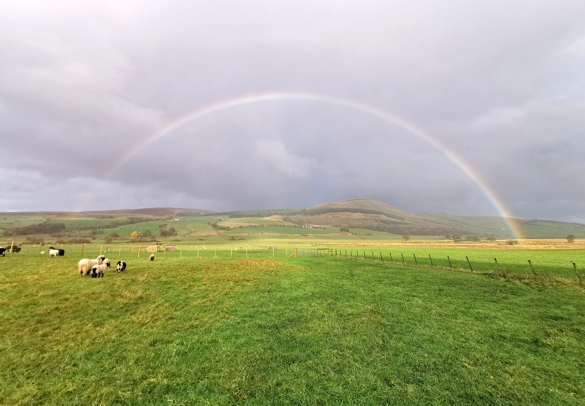 312659695_10159269694051104_8078596864019281730_n