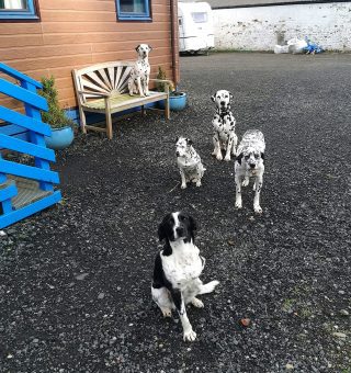 331776692_1196829107871526_2499441435294067853_n