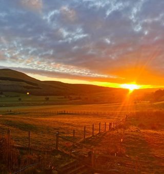 337523504_3598867003682920_7025392898918313111_n