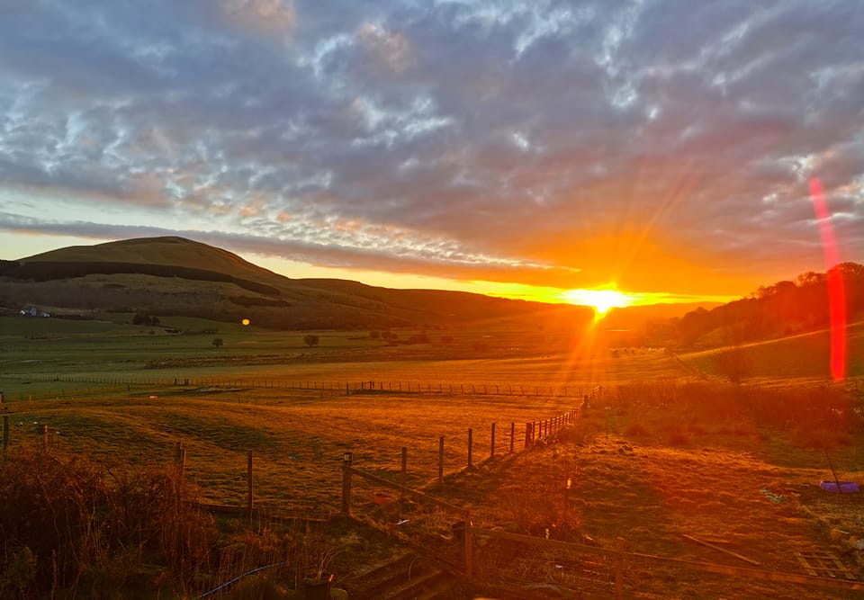 337523504_3598867003682920_7025392898918313111_n