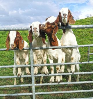 358046841_671347735032827_8973997801889847887_n