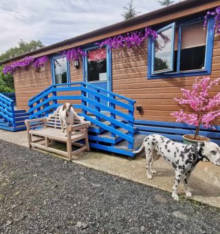 371058442_151920644621696_7136003109488433723_n