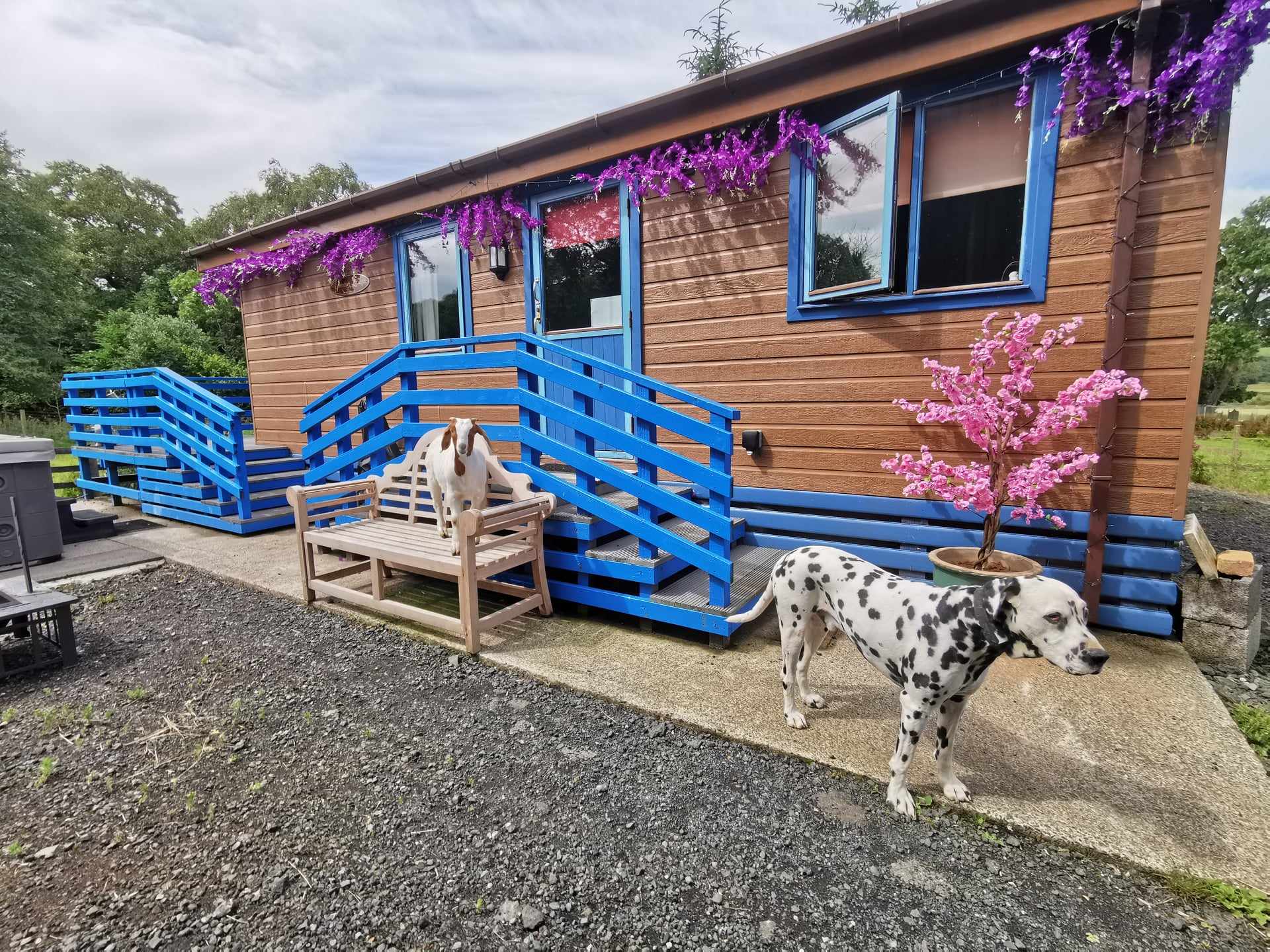 371058442_151920644621696_7136003109488433723_n