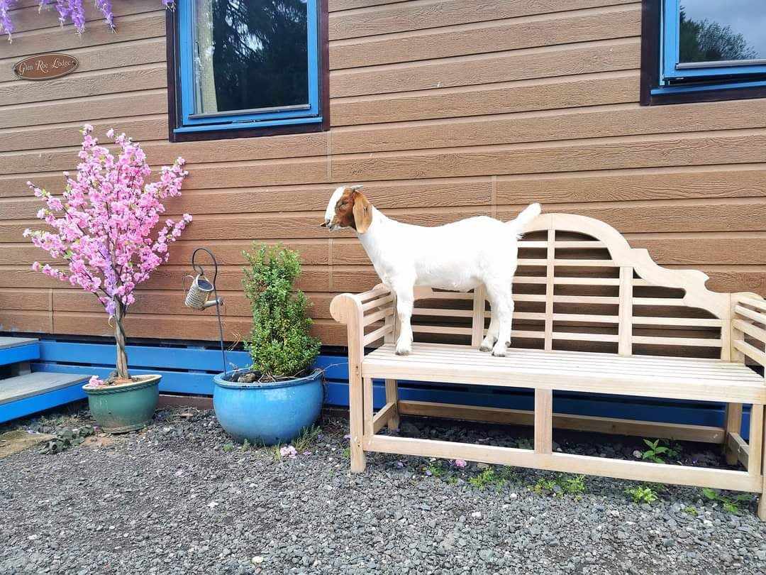 371079081_1267217040652213_703773167554890298_n