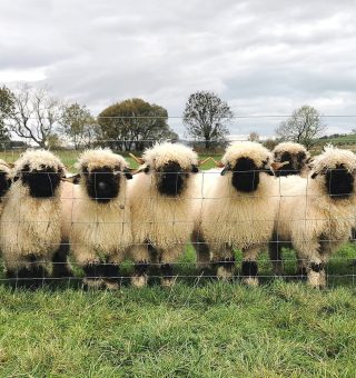 394249782_10160245906476104_6863276620067213535_n