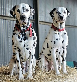 421756253_10160396270666104_5343620144866041536_n