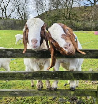 430112493_10160471770046104_615142414440754569_n