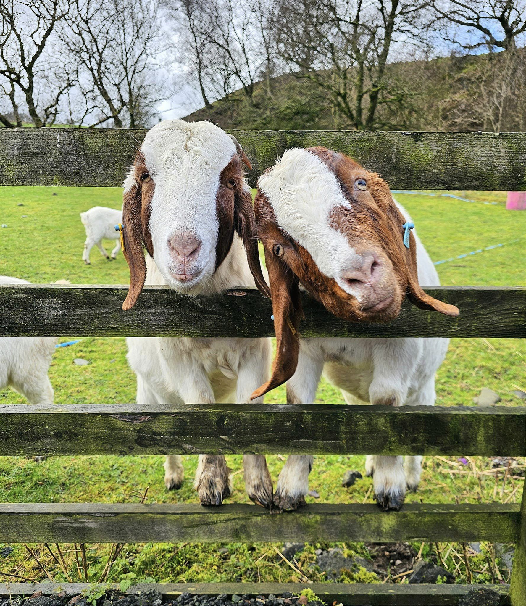 430112493_10160471770046104_615142414440754569_n