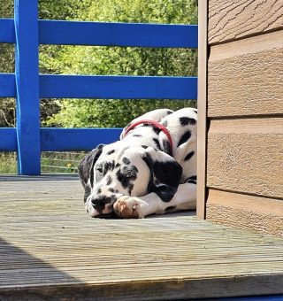 440259017_10160561444021104_7647420790360900596_n