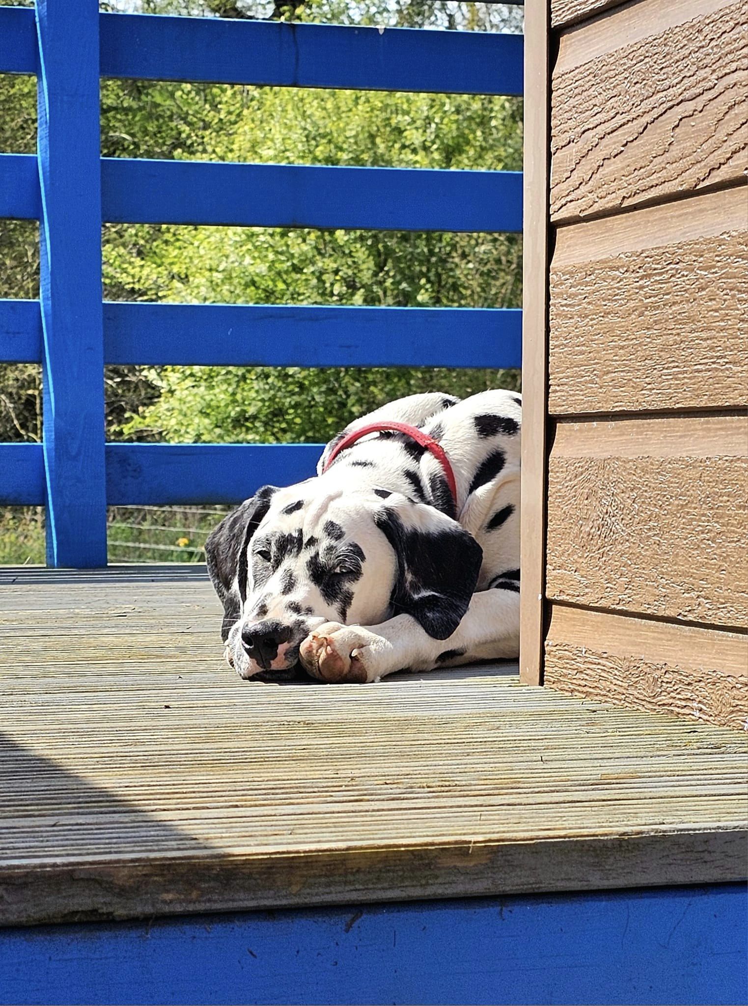 440259017_10160561444021104_7647420790360900596_n