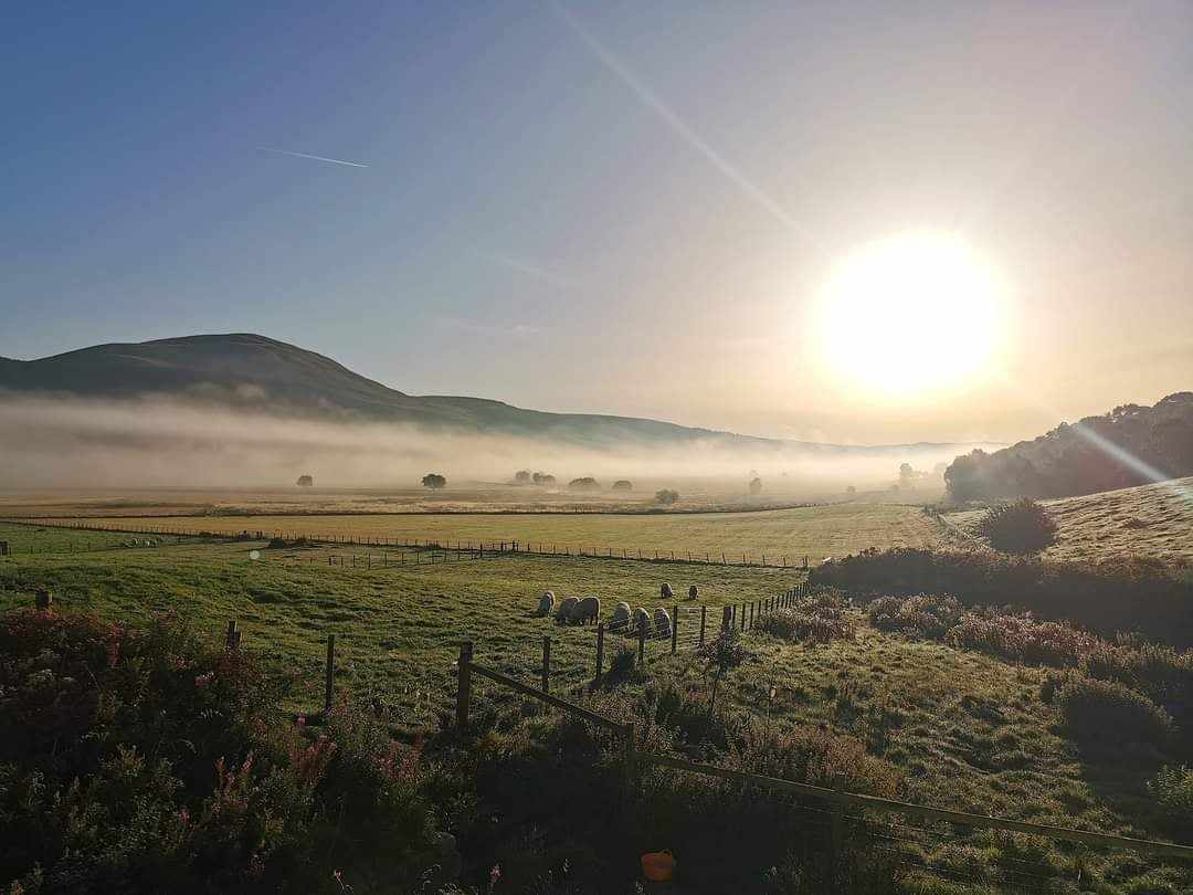 441531159_1168055767664143_5713761432127929333_n