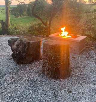 8FA58DEF-D583-4884-82B8-C5F02704B41A