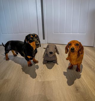 94D6D917-2BE0-4EC1-A462-9A78712F6E8E